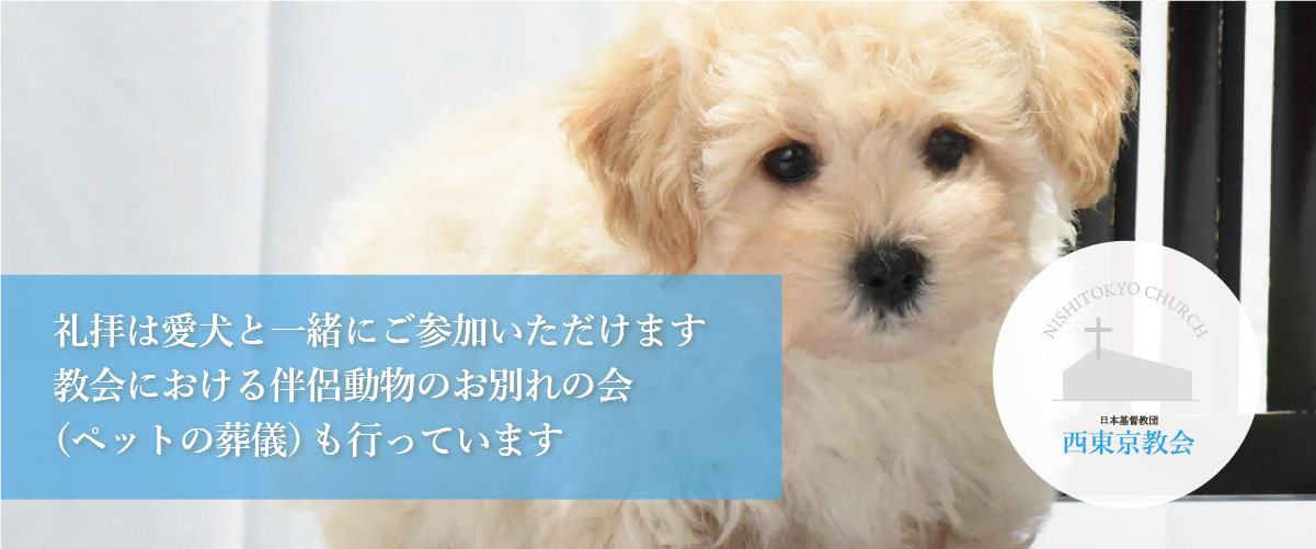 礼拝は愛犬と一緒にご参加いただけます。教会における伴侶動物のお別れの会(ペットの葬儀)も行っています。